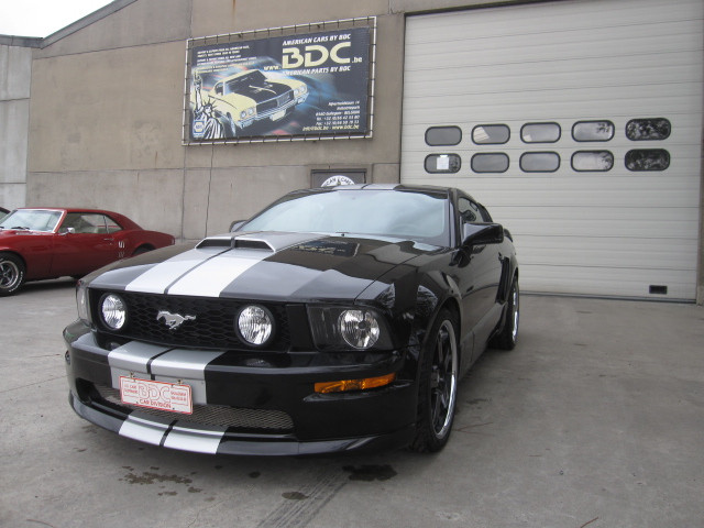 mustang shelby look (4)