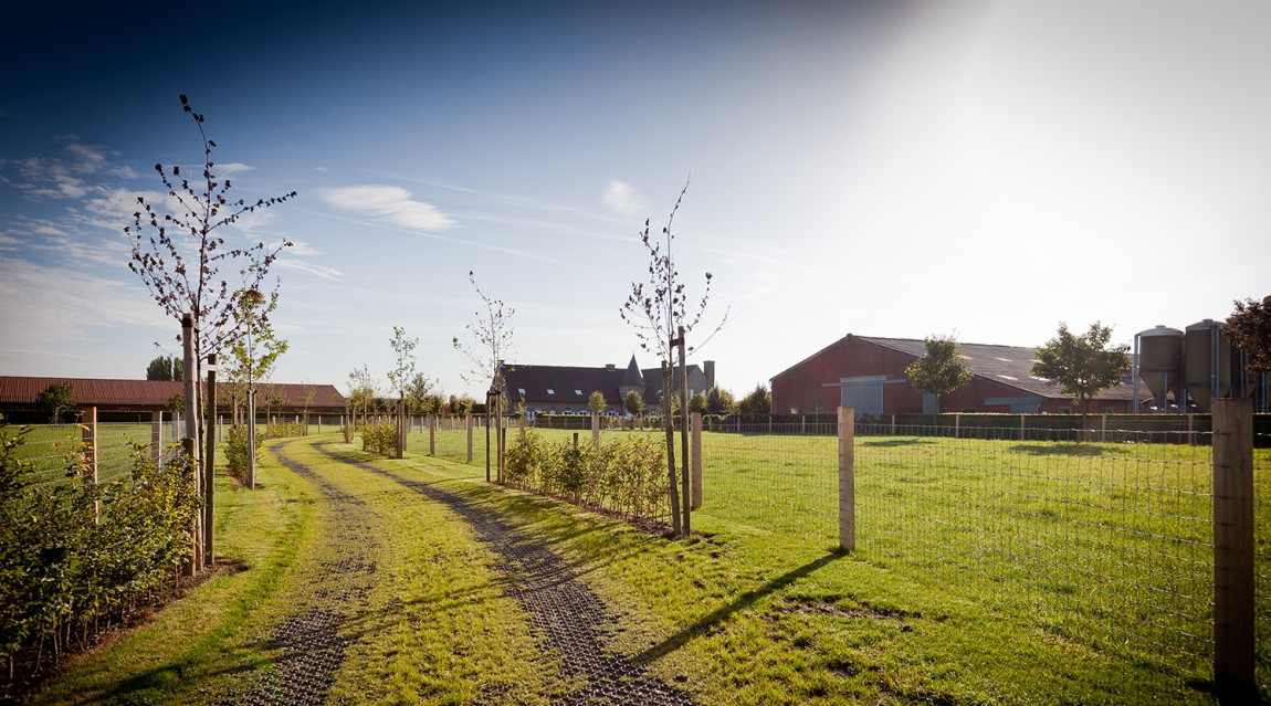 Farm