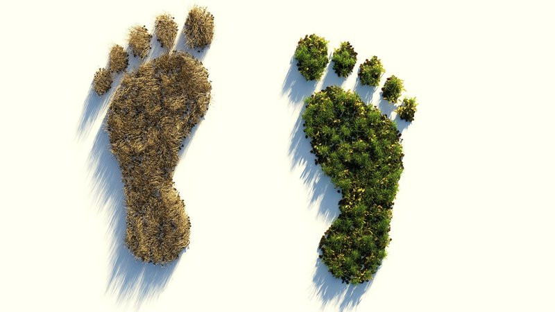 ecological-footprint-4123696_1920.jpg__1920x450_q85_subsampling-2