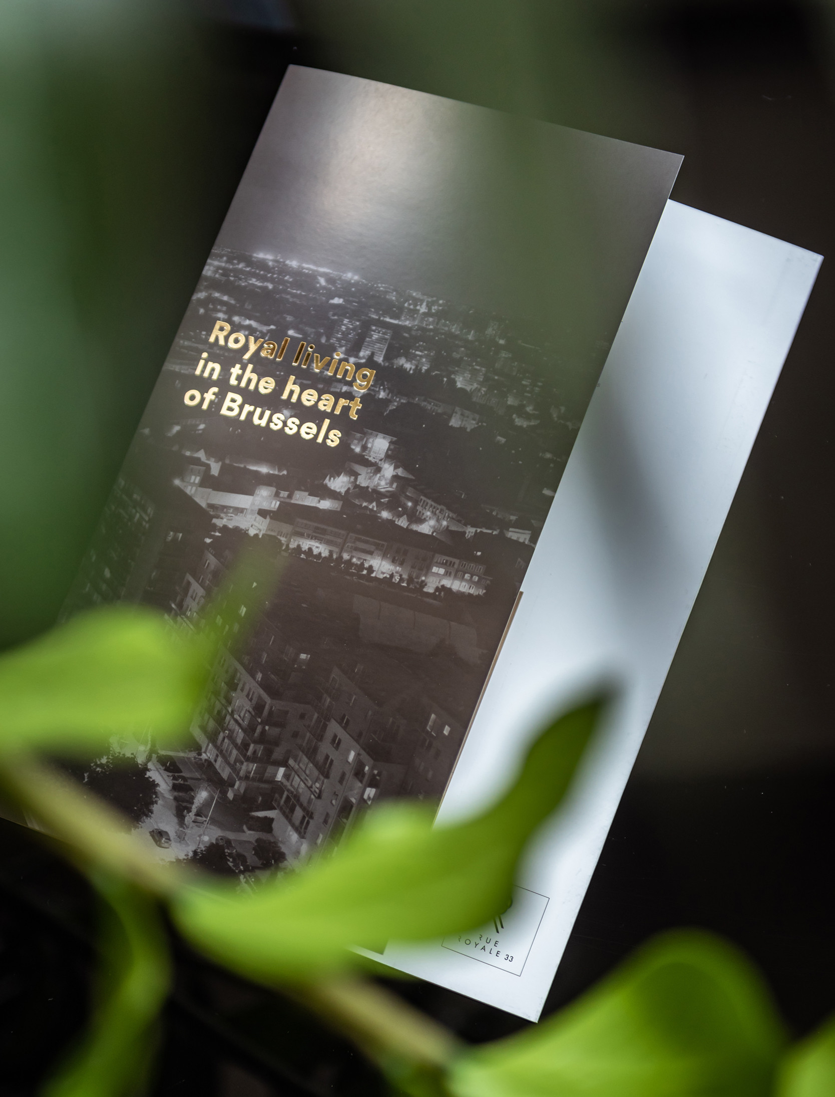 Capone deed het grafisch ontwerp van deze bijzondere brochure voor Rue Royale 33