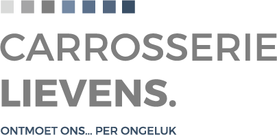 logo_blokjes