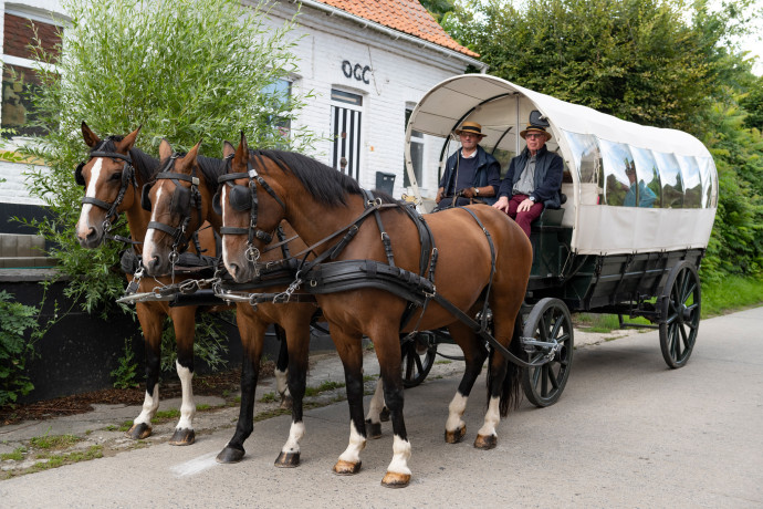 08-Koets002-