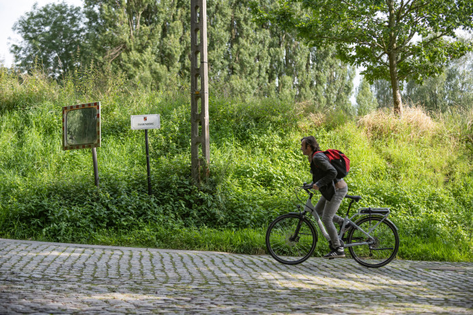09-Taaienberg004-