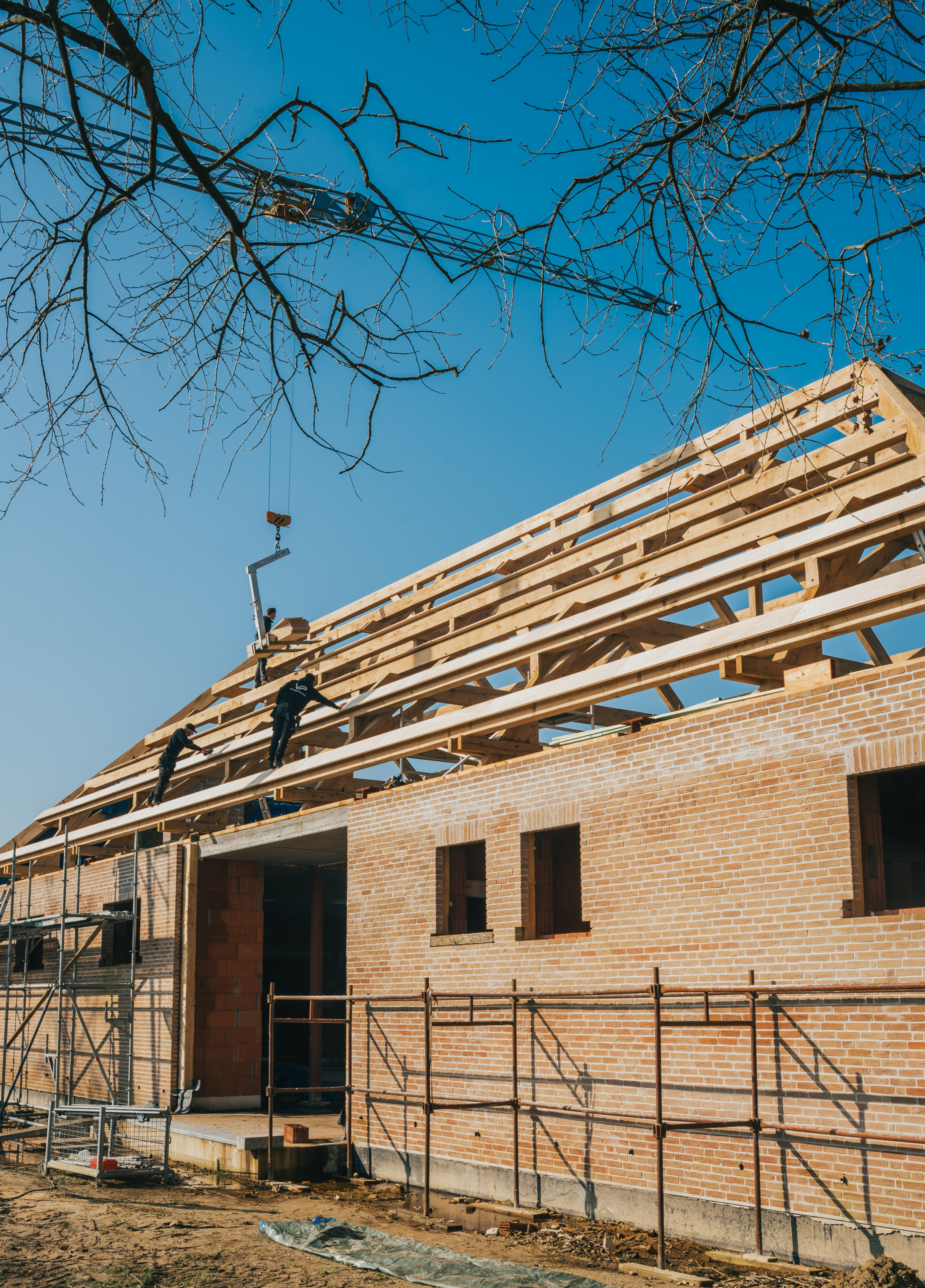 Merendree eiken dakstructuur (7)