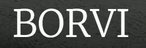 Borvi_Logo
