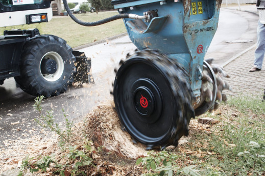 Rockwheel met boomfrees