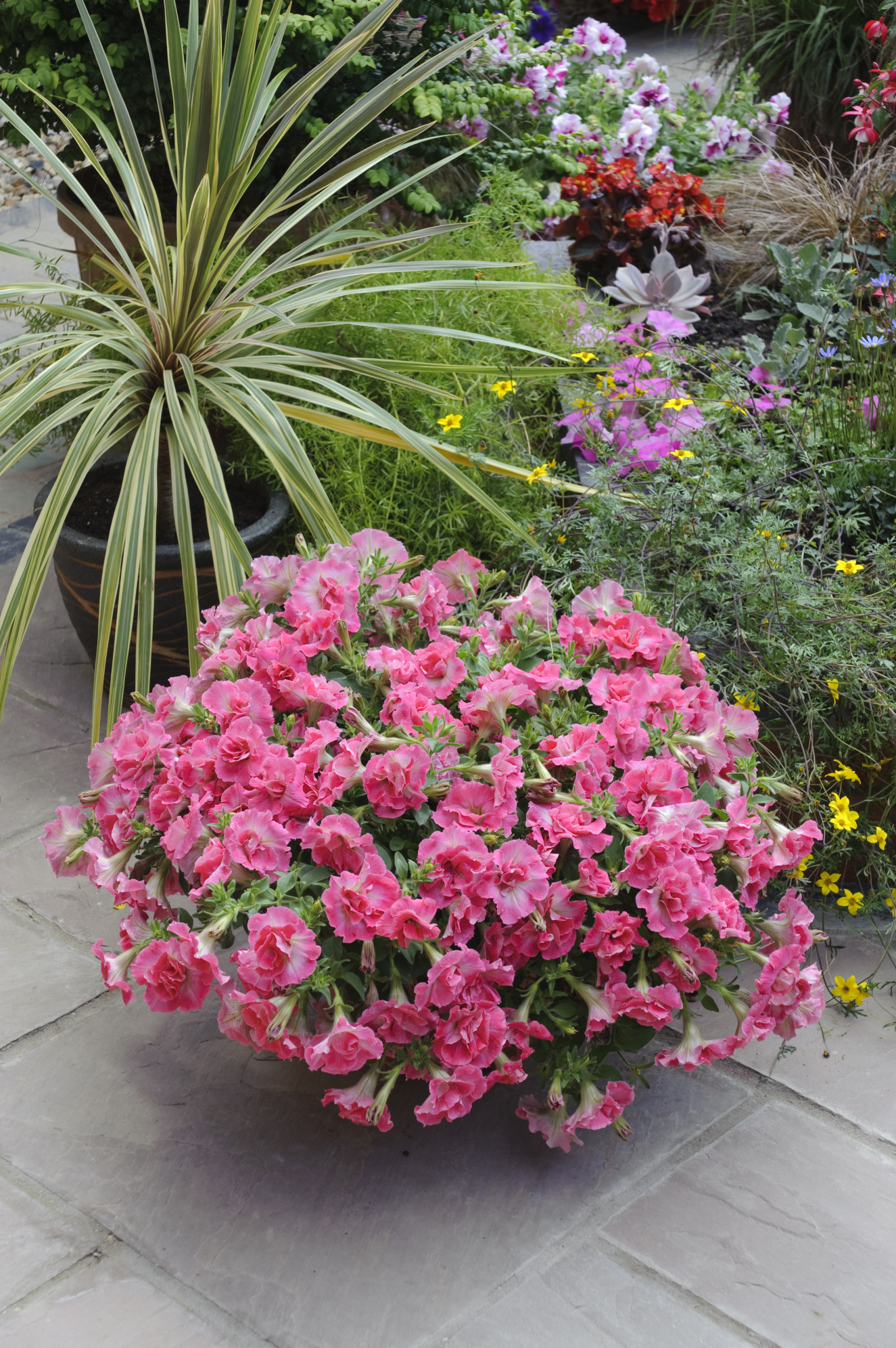 Martha_DSC0447
