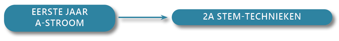Flowcharts 2A STEM