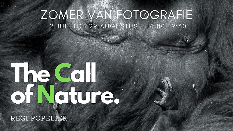 ZomerVanFotografie2021