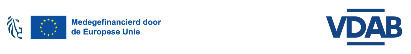 signatuur_combinatie logoESF_ESF-AMIF projecten_2023_RGB