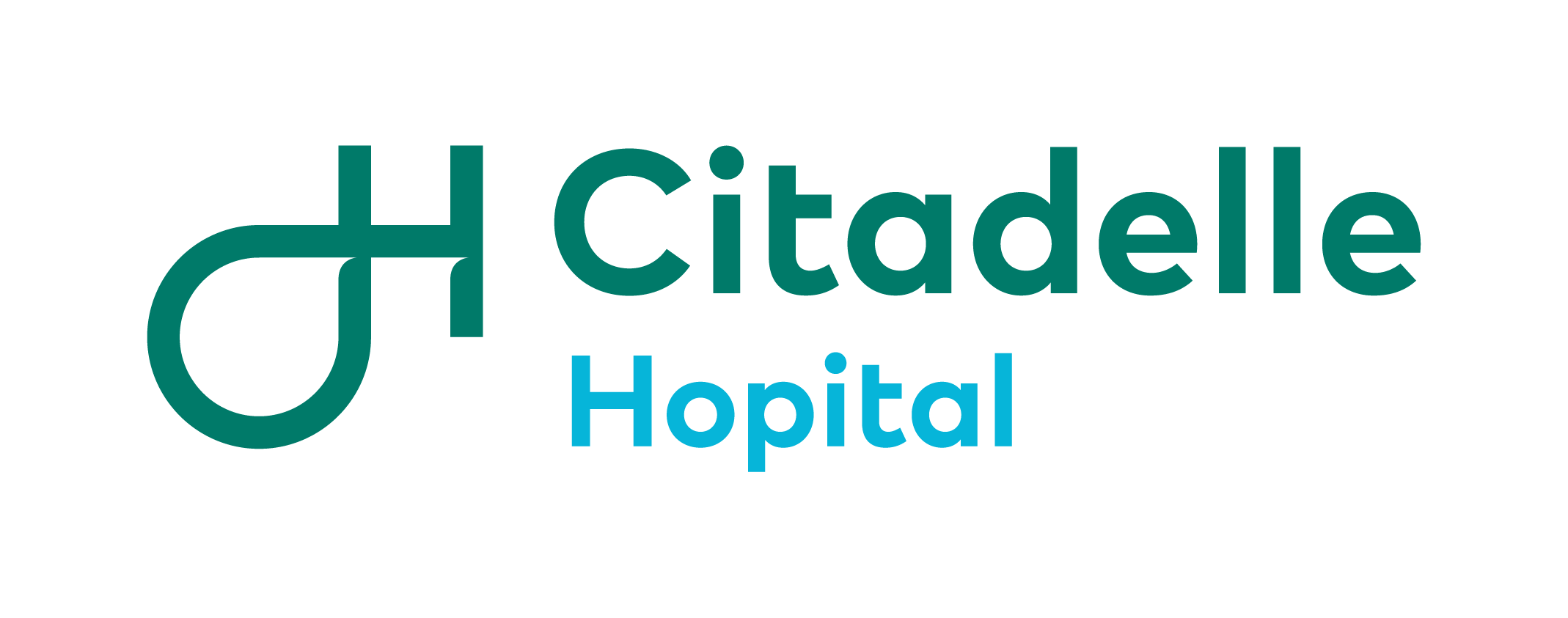 Citadelle-Hopital_Logo-H_RVB_Synthese