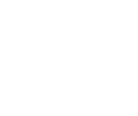 {segment:4-1-1}