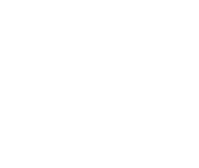 {segment:4-1-1}