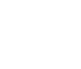 {segment:4-1-1}