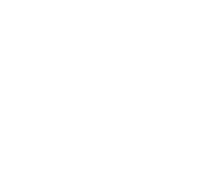 {segment:4-1-1}