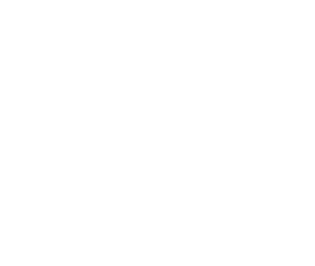 {segment:4-1-1}