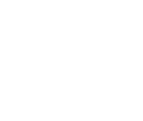 {segment:4-1-1}