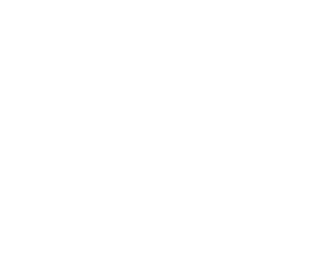 {segment:4-1-1}