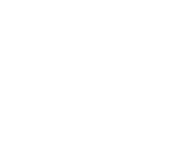 {segment:4-1-1}