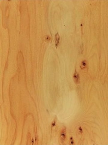 662_detail