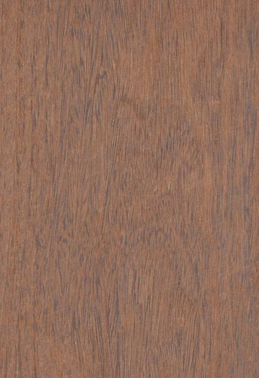 779_detail