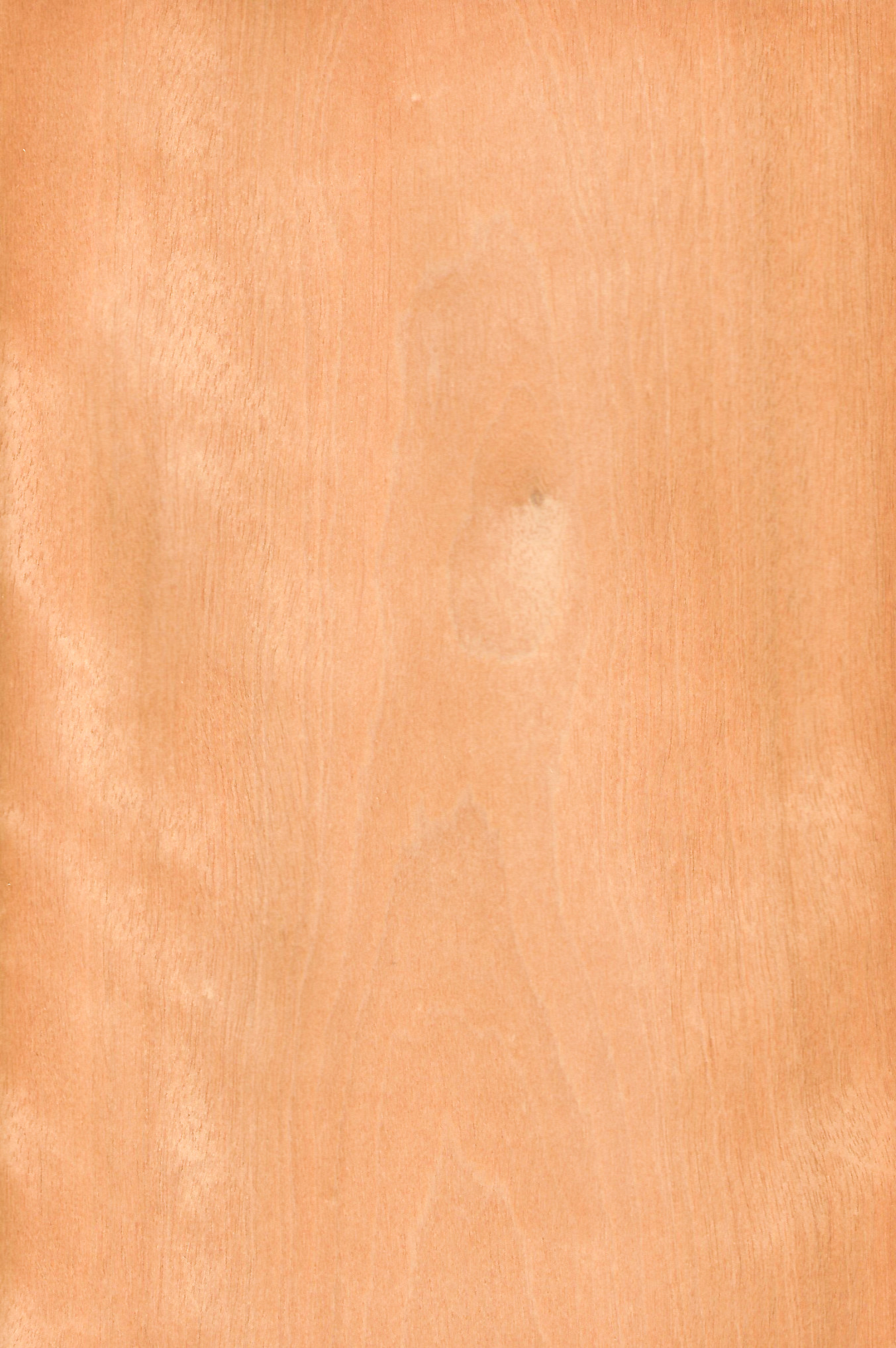 Alder