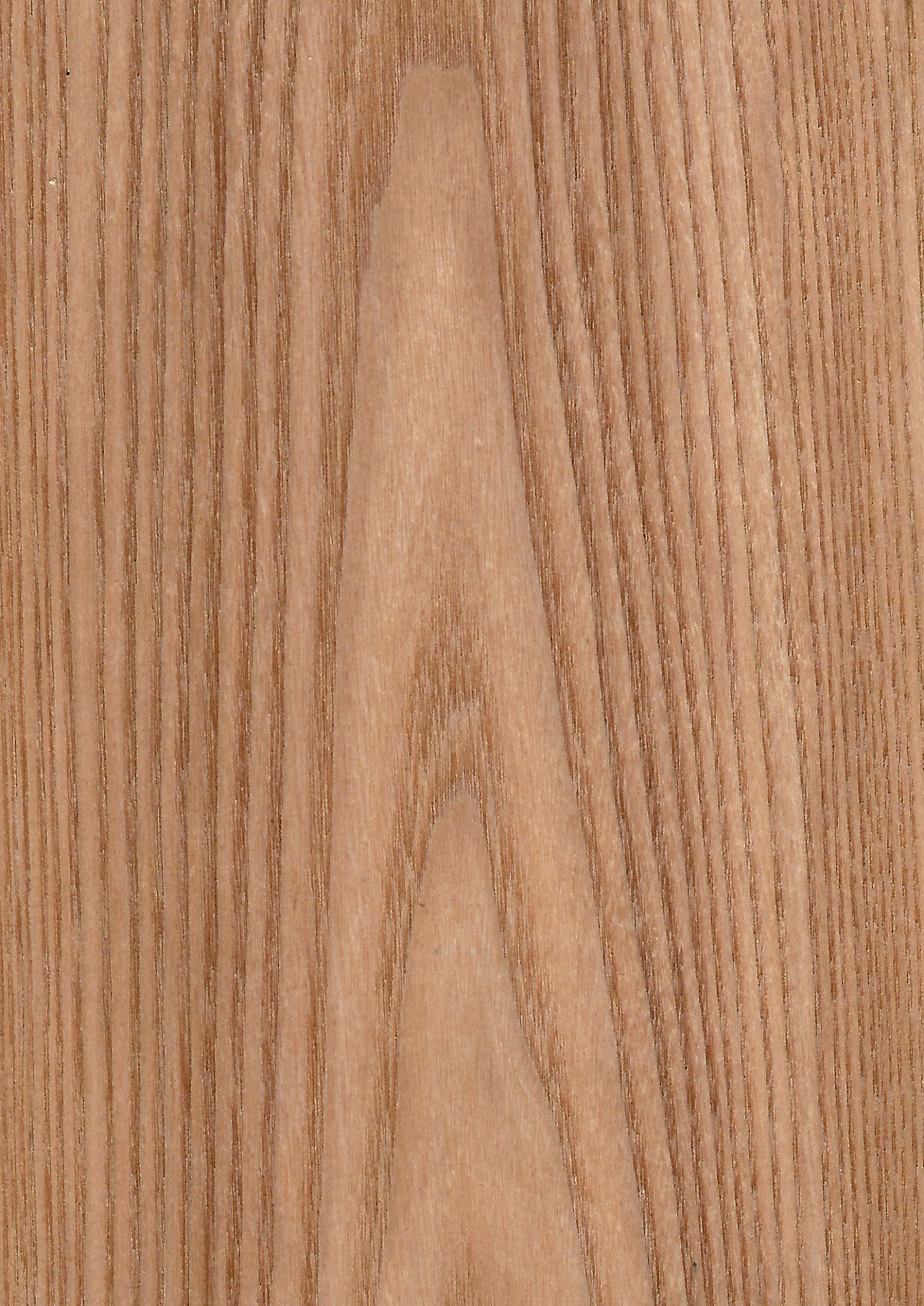 Elm Red