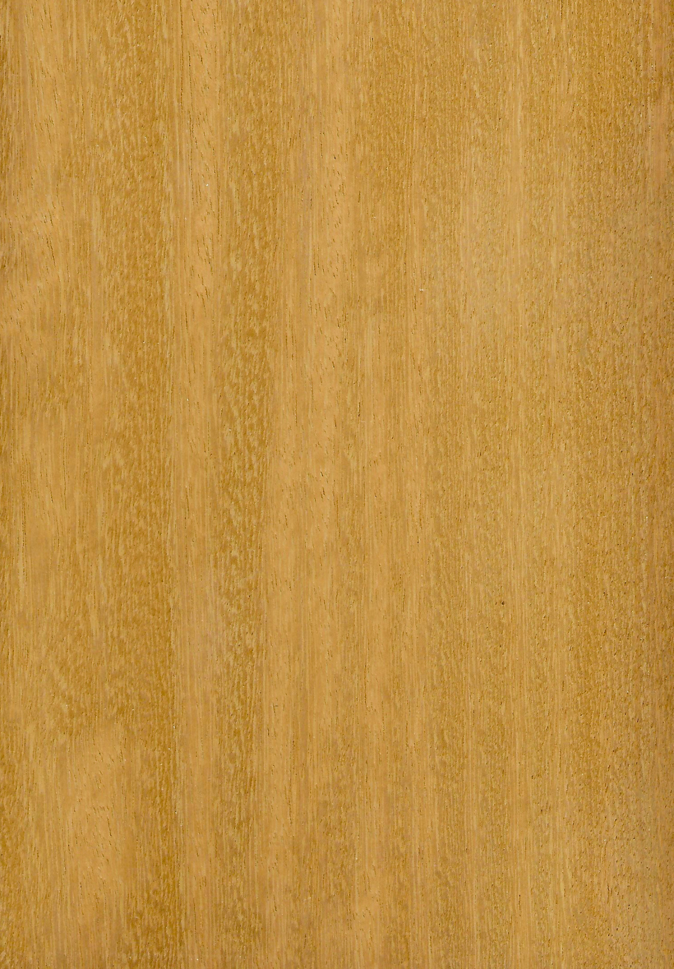 Iroko