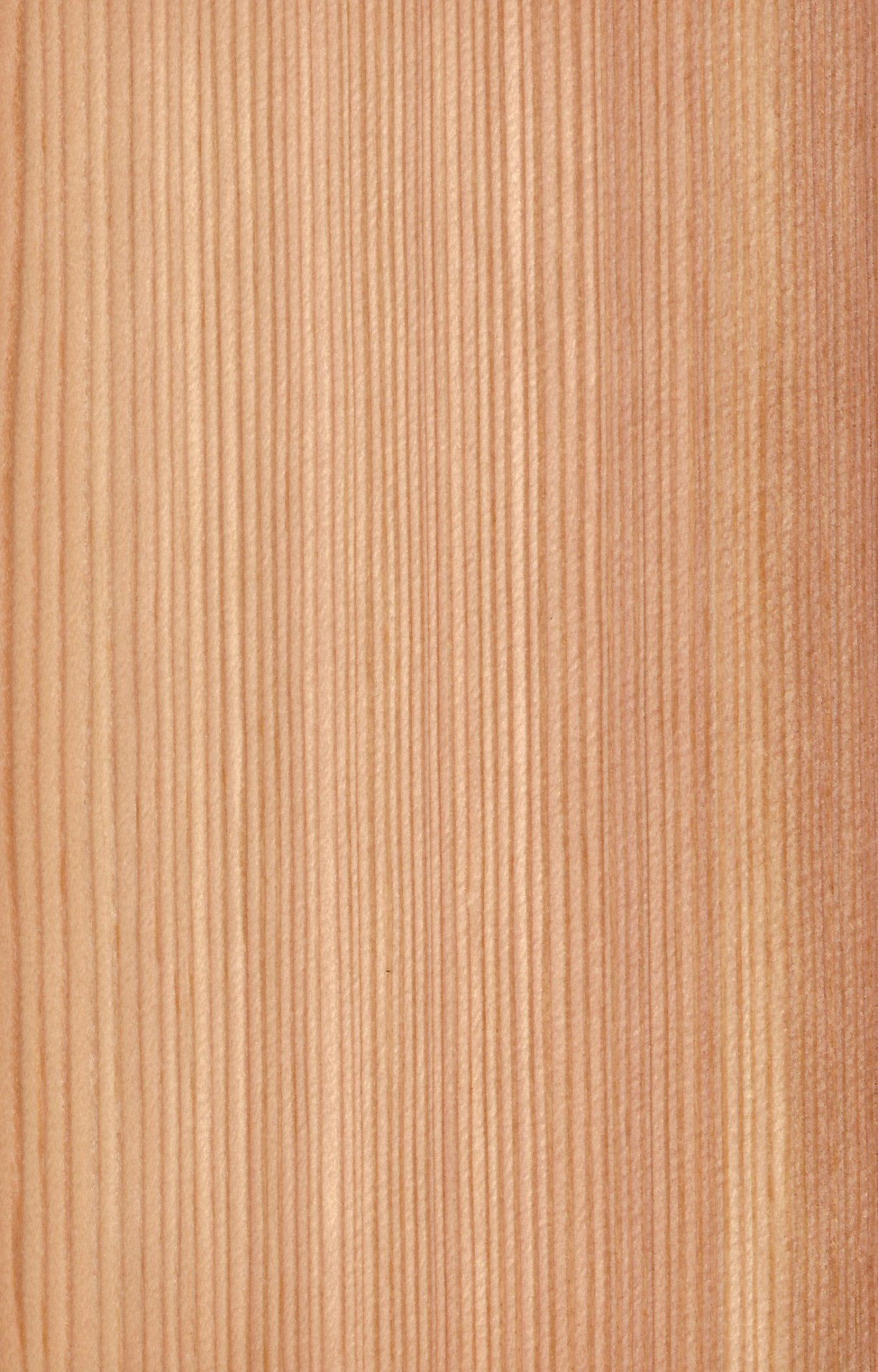 Larch