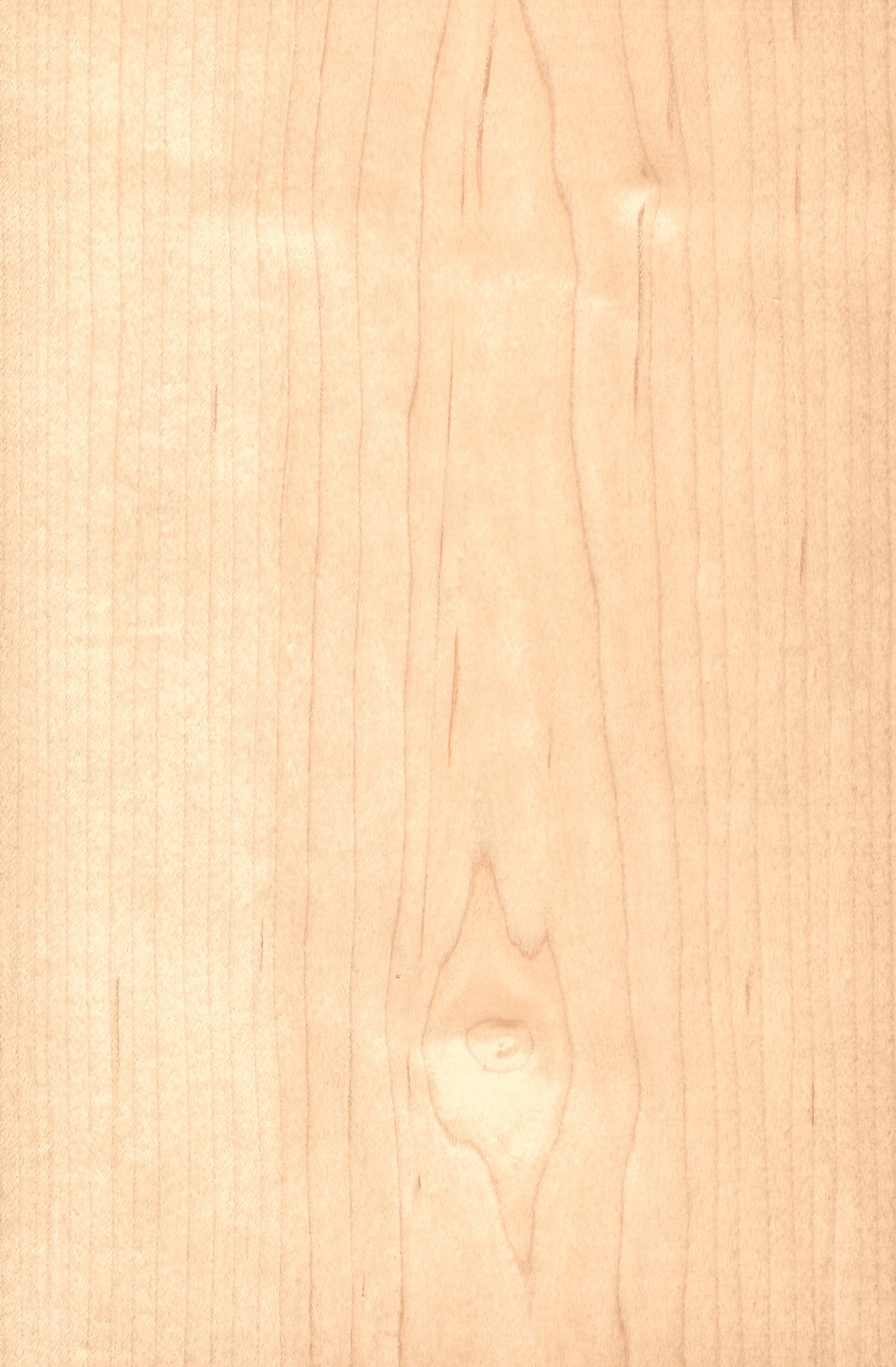 Maple