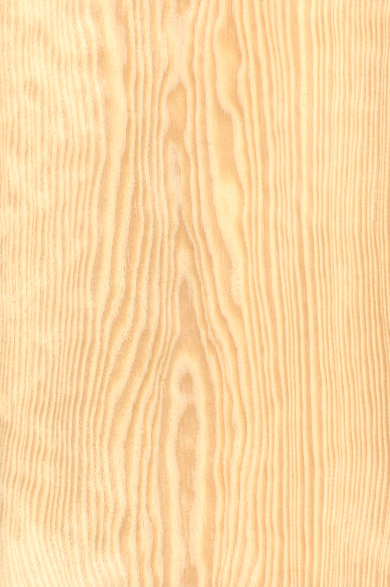 Pine Baltic