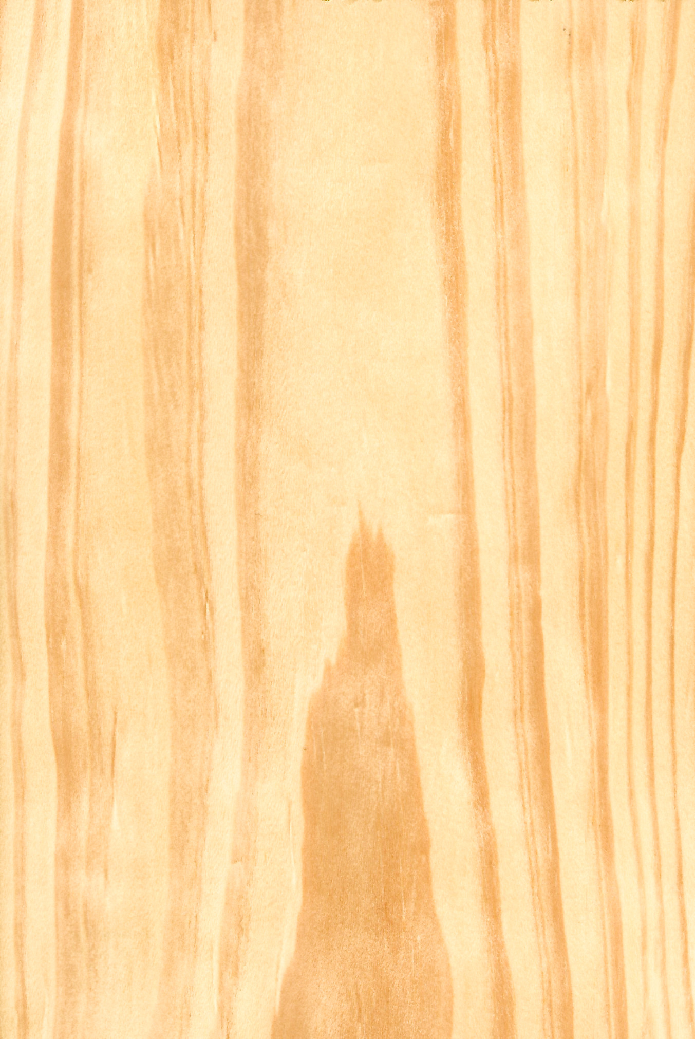 Pine Carolina