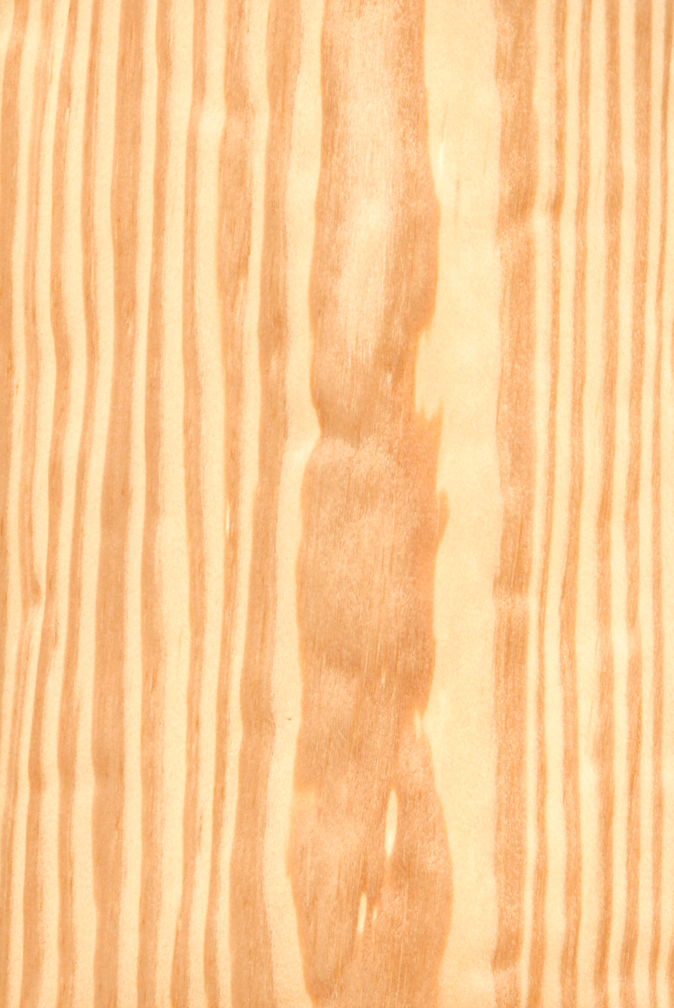 Pine Clear