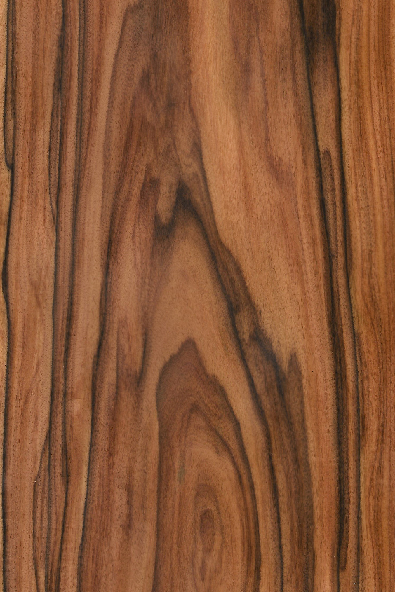 Rosewood Santos