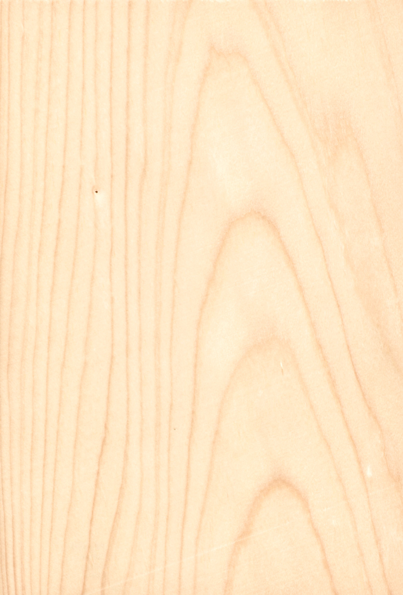 Spruce