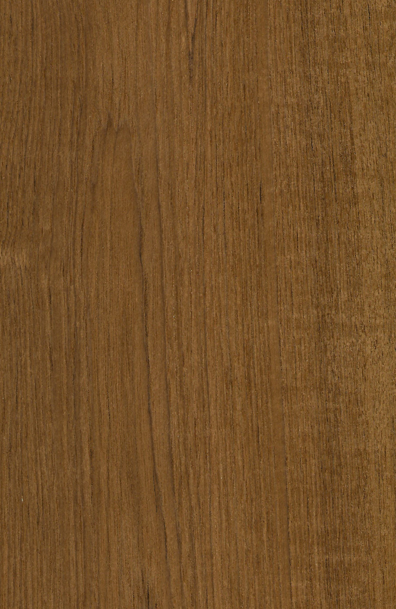 Teak