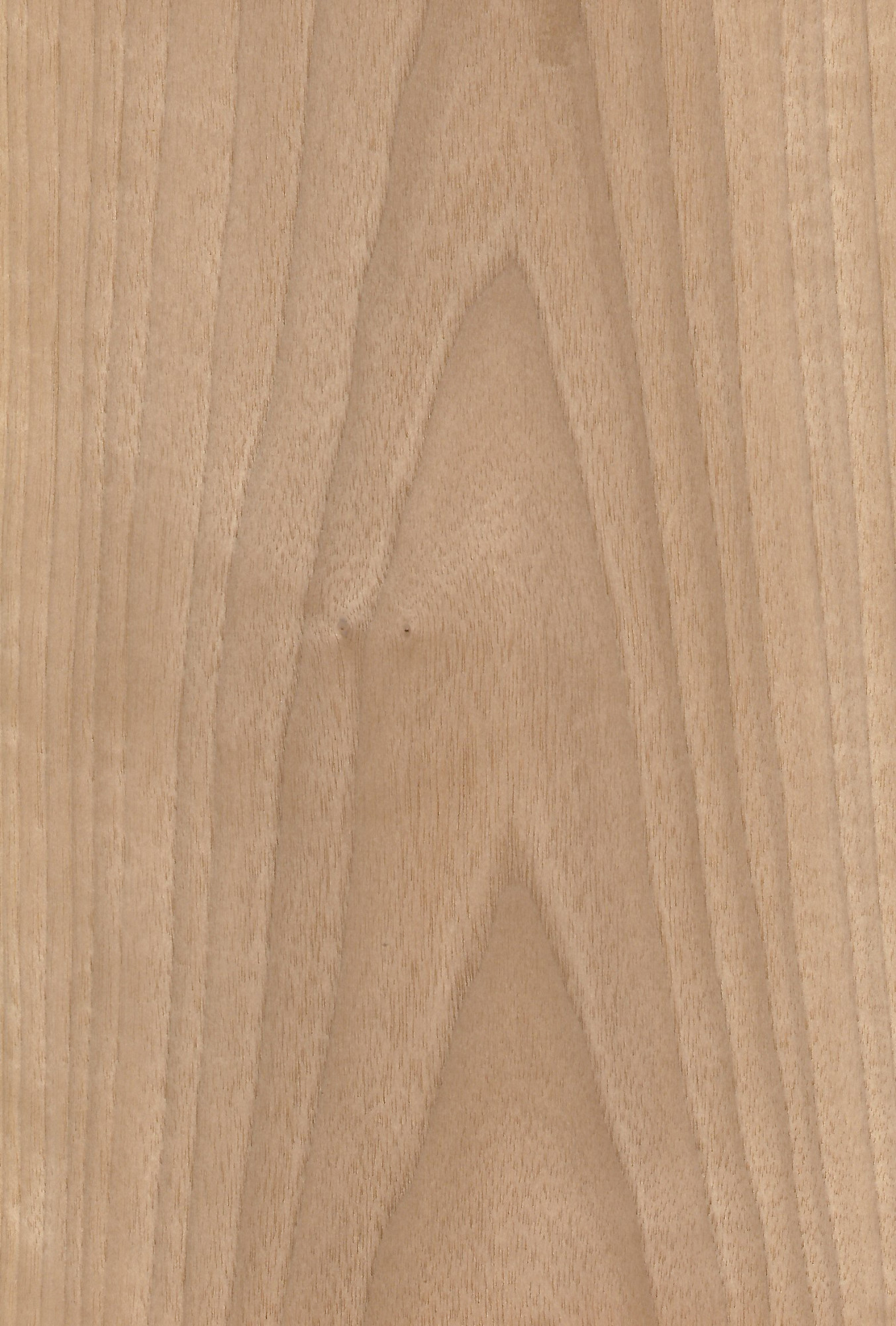 Walnut Italian