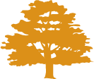 Boomoranje
