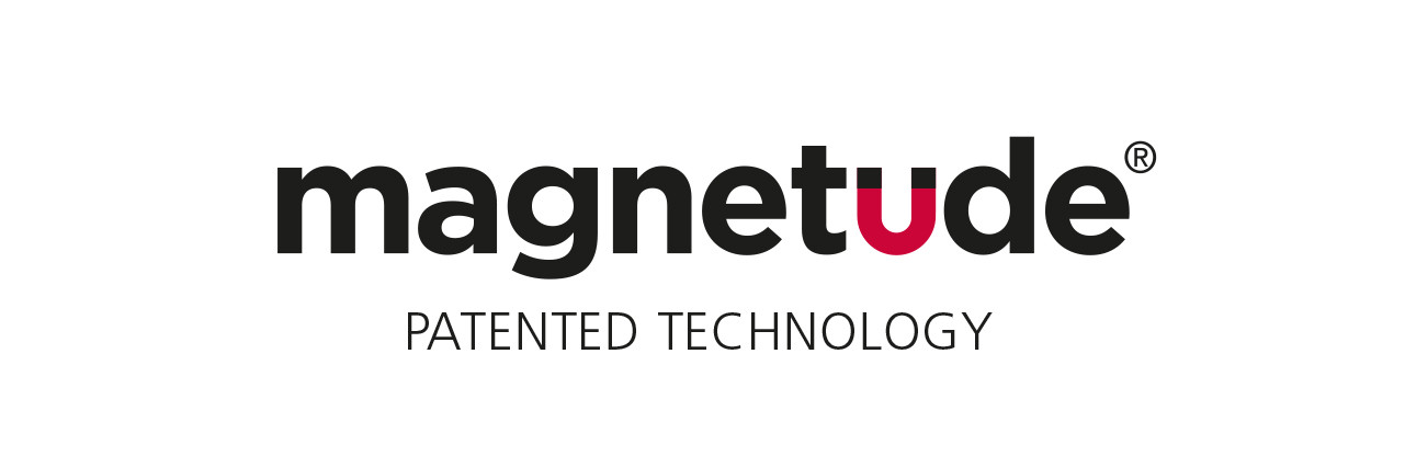 2017-Magnetude