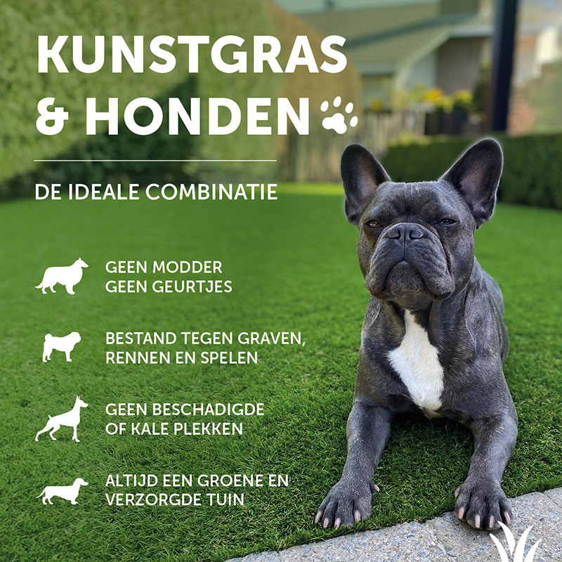 Grasmeester kunstgras - Kunstgras & honden: een goede combinatie