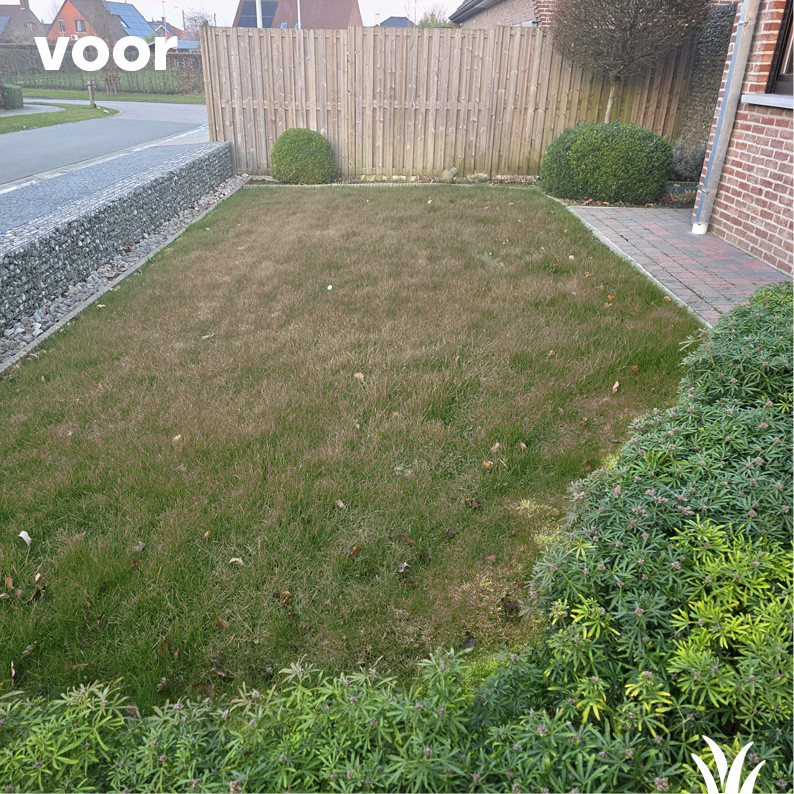 Grasmeester kunstgras - Je voortuin is het visitekaartje van je huis!