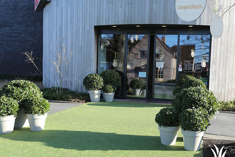 Realisatie kunstgras | Grasmeester