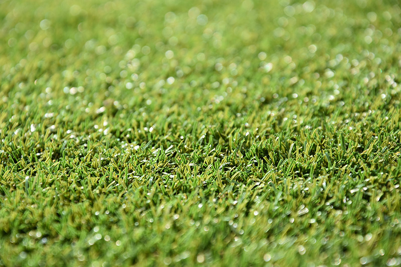 Grasmeester kunstgras Verda Ludi Grasmeester kunstgras Verda Ludi