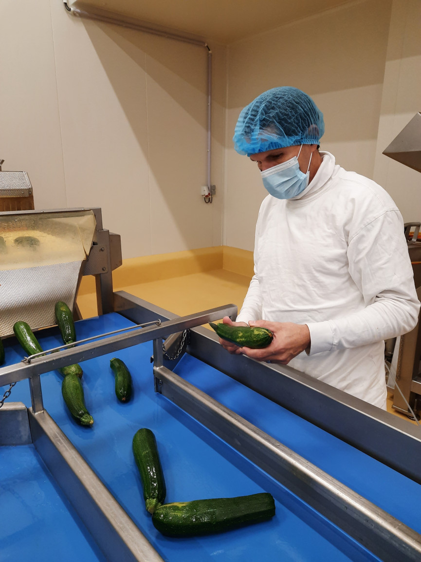 Courgetten 2