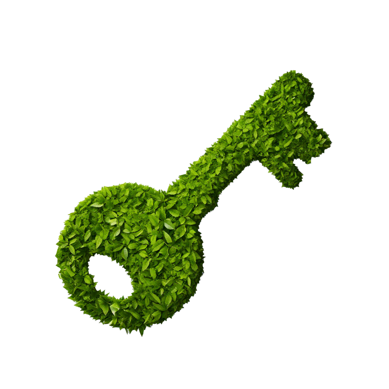 Green_key