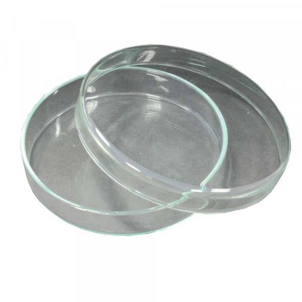 Petri Dish, Test Tubes, Watch Glass1