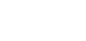 Actum-Wit