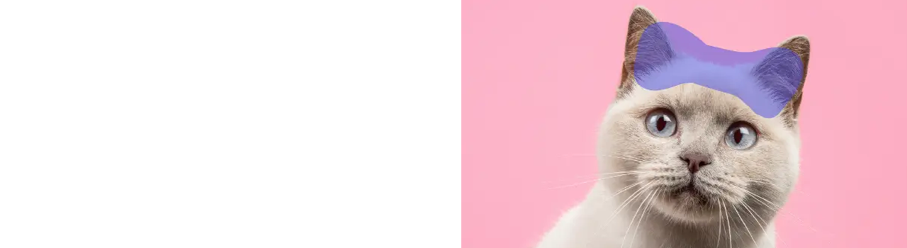 Kat