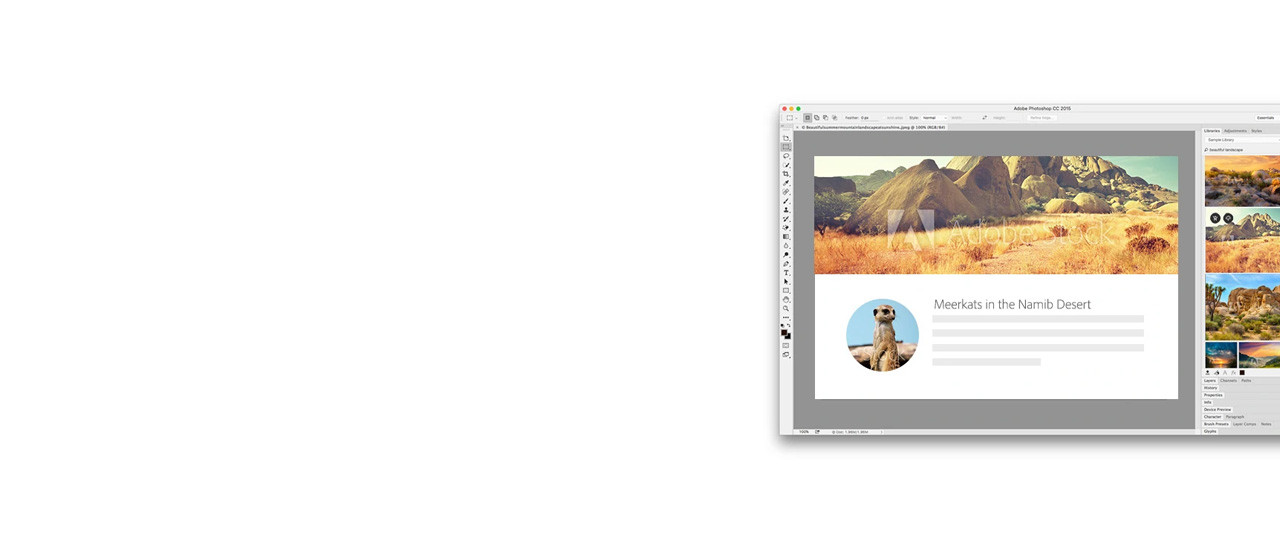 BannerImage-AdobeStockBundels-Indent