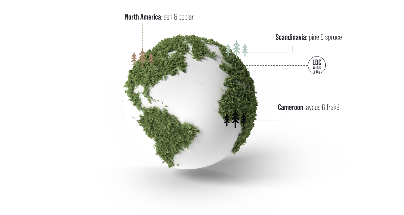 World Map Origin